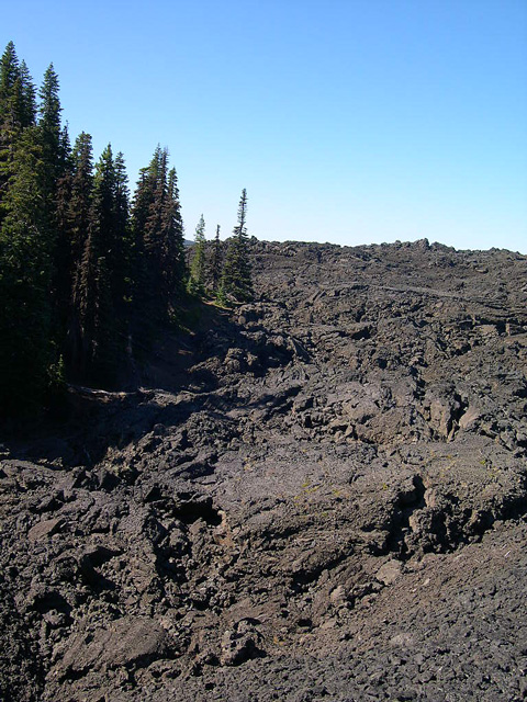 This lava flow extends for miles north of McKenzie Pass under the PCT