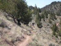 The bike and hikeing trail from Grey Butte and Skull hollow