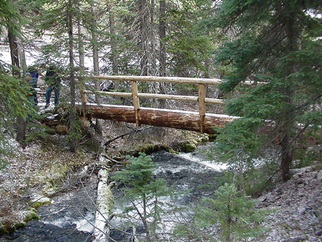 forest service bridges