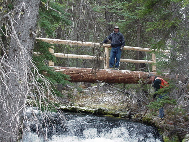 forest service bridges