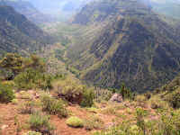 Big Indian Gorge from "Steens Higway". We packed up along this stream.