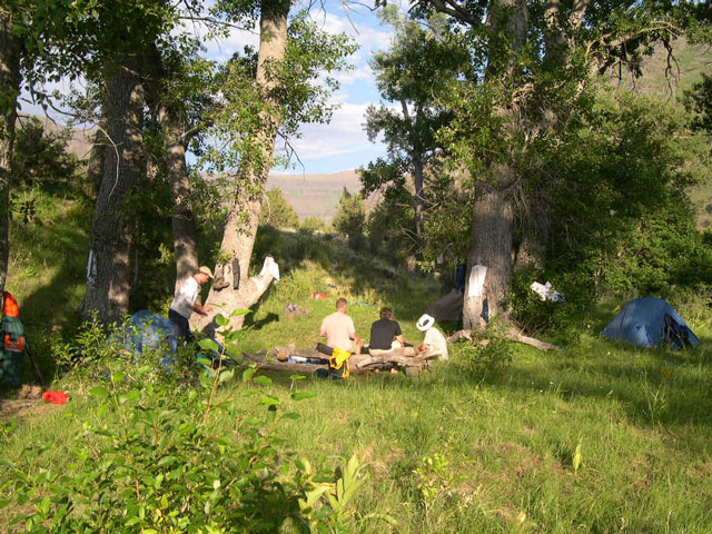 An historic campsite near the riparian area of the creek