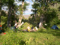 An historic campsite near the riparian area of the creek