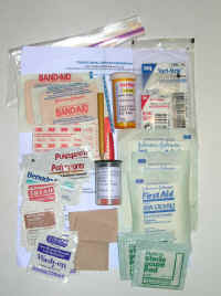 Total weight of this personal, always carried first aid stuff in a Ziploc is 3.5 oz.  Carry it in your 