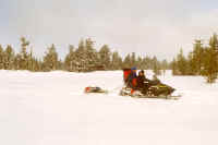 One pack on the sled